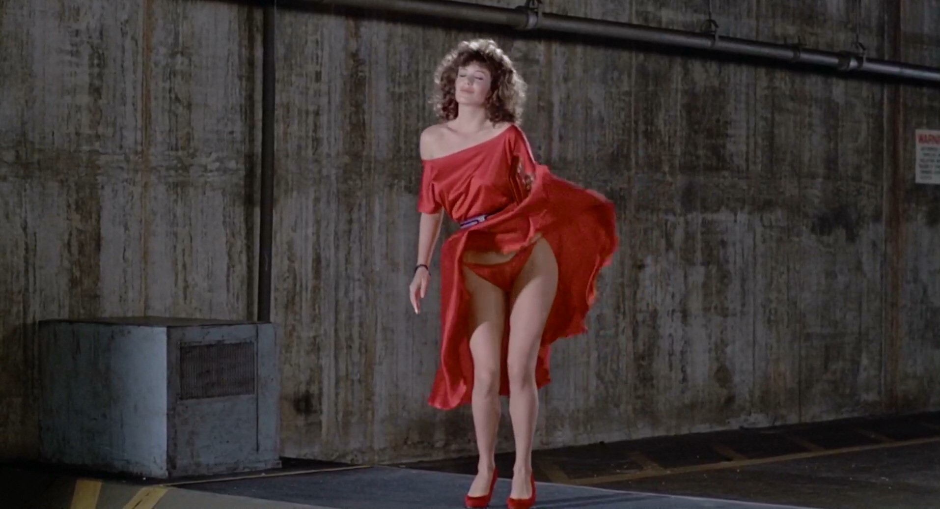 Watch Online - Kelly LeBrock â€“ The Woman in Red (1984) HD 1080p